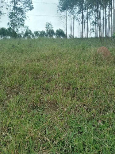 Imagem 2 de 14 de (k.a) Otimas Ofertas Lotes No Interior