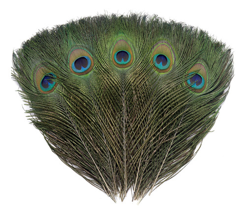 36 Plumas De Ojo De Pavo Real Naturales Reales De 10 A 12 Pu