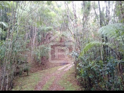 Imagem 25 de 30 de Lindo Sitio Com Uma Maravilhosa Vista No Alto Do Morro Tendo Uma Linda Vista Para O Pôr Do Sol - 113 - 69319003