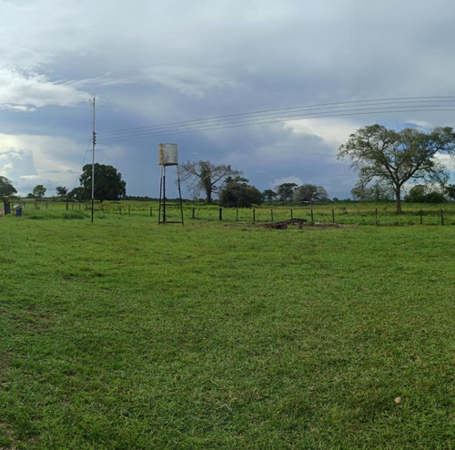 Imagen 9 de 9 de Se Vende Finca Via Al Sur A 10min Del C.c La Cascada Ve01-0939zs-mf