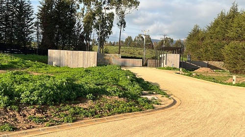 Lindo Y Plano Terreno En Condominio En Maitencillo