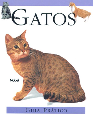 Gatos : Guia prático, de Kingsley, Rebeca. Editora Brasil Franchising Participações Ltda, capa mole em português, 1998