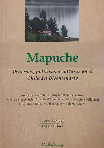 Mapuche: Procesos, Politicas Y Culturas Chile Bicentenario