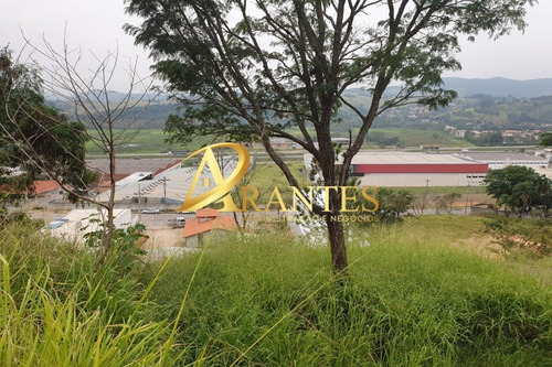 Imagem 1 de 6 de Terreno - Te00012 - 69660815