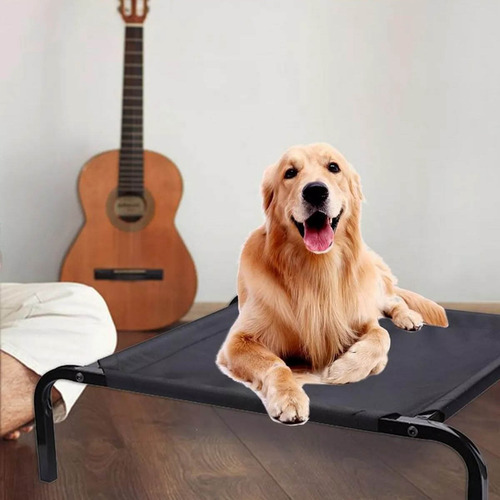 Cuna Portátil Para Mascotas Grande Cama Elevada Para Perro