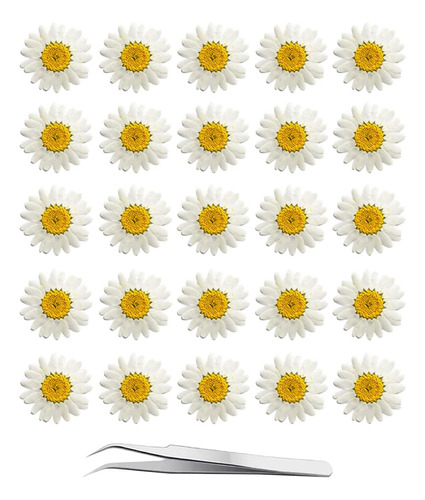 Flores Prensadas Para Usar En Moldes Con Resina 60 U.