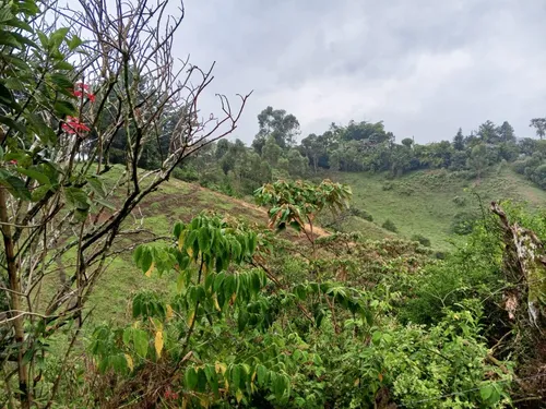 Lote En Venta Ubicado En Rionegro (26716).