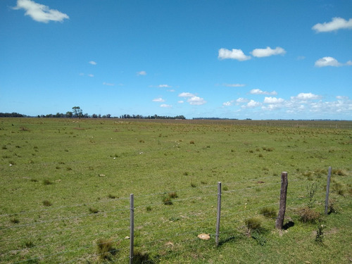 Imagen 25 de 30 de Latorre Prop Vende Campo De 34 Hectareas En Cobo