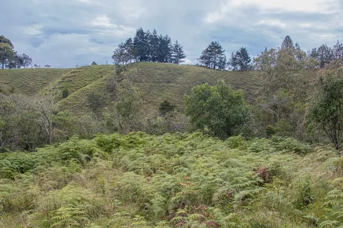 Casa Finca En Guarne 9.000 M2