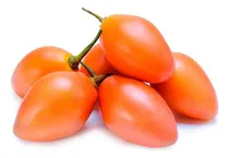 Comprar Semillas De Tomate De Árbol Germinacion Frutales