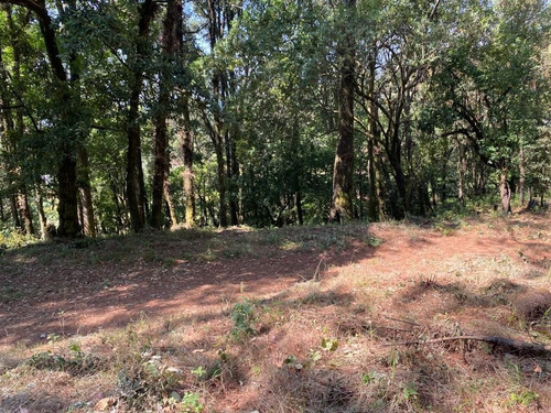 Imagen 3 de 6 de Terreno Plano En Fraccionamiento Monte Rubí Huitzilac, Morel