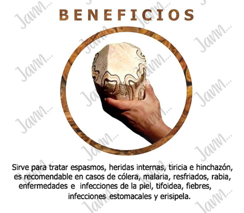 Palo De Víbora Planta Medicinal 150g.
