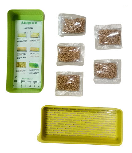 Germinador De Hierva Gatera Maceta Con Semillas Para Katnip