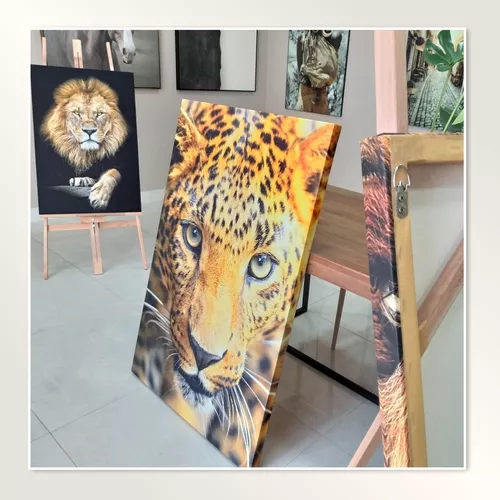 Tela Quadro decorativo p sala Tigre Deitado Por do sol 130x90 - Império do  Quadro - Quadro Decorativo - Magazine Luiza