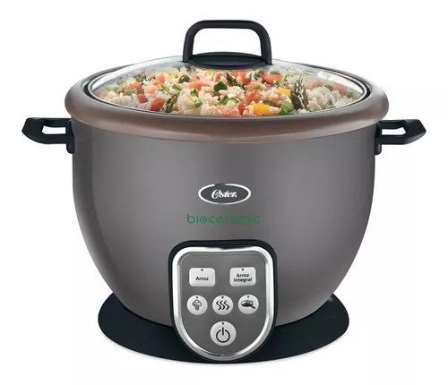 Oster 220 volts rice cooker 6029 Silver Finish 10 Cup Rice Cooker