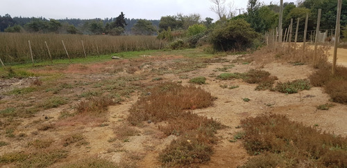 Imagen 4 de 30 de Oferta Terreno En Laguna Torca Lago Vichuquén