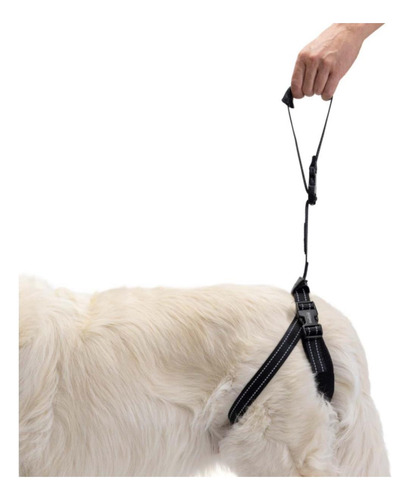 Ortocanis: Soporte De Arnés Trasero Para Perros. Tamaño De 4 Blanco.