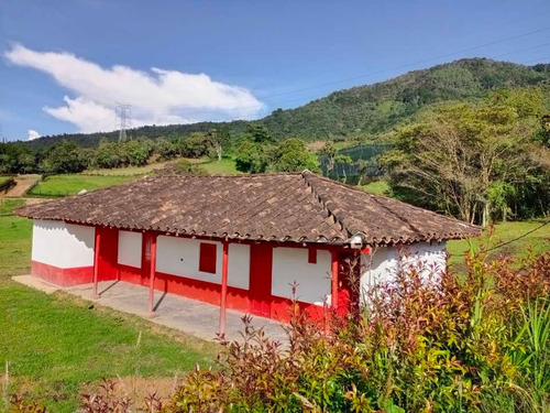 Imagen 6 de 30 de Hermosa Finca Campesina En Venta En Parcelación Excelente Vecindario.