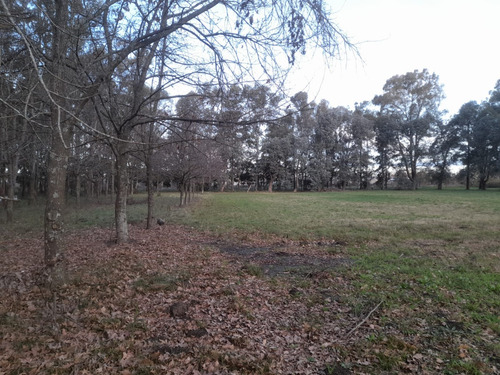Particular Alquila Parcela/lote En Zona Ruta 36 La Plata