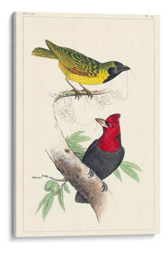 Canvas Lab Cuadro Lemaire Birds Ii 120x180, C.l. Lemaire