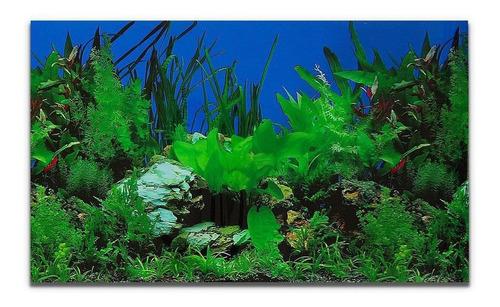 Painel Para Aquários Fundo Azul E Plantas Pp-081 30x200cm