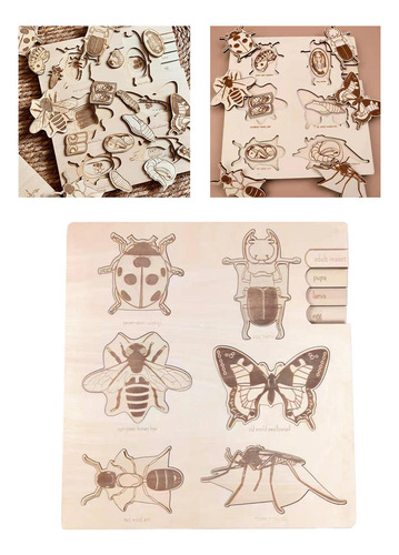 Rompecabezas De Madera Juguete Inteligencia Desarrollo Ciclo