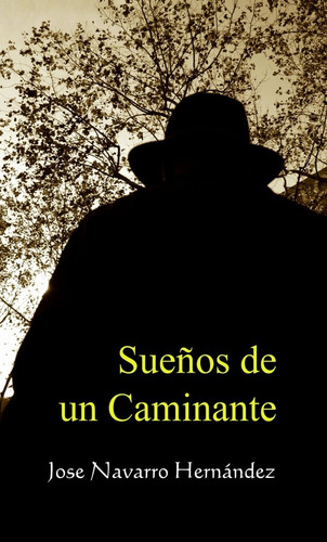 Sueños De Un Caminante - Vv.aa Editorial Arte Y Literatura