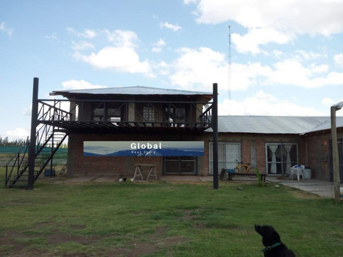 Imagen 1 de 26 de Excelente Finca De 31 Has En San Rafael , Mendoza Zona Vitivinícola Argentina