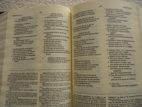 Imagen 4 de 4 de Biblia De Estudio Dios Habla Hoy. ( Biblia Católica )