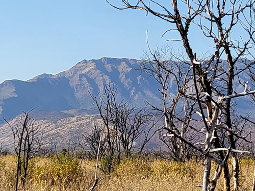Imagen 5 de 8 de Exclusivo Campo De Montaña 50 Ha / Quebrada De Luna