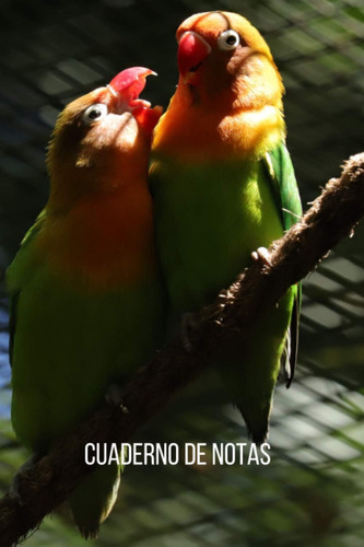 Libro: Cuaderno Notas Loros Inseparables: Diario Compo