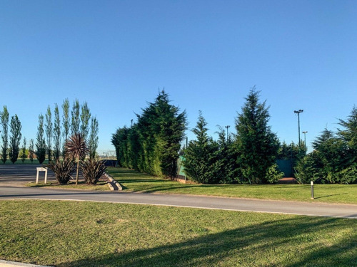 Imagen 6 de 12 de Terreno Lote En Venta Barrio La Alameda - Canning