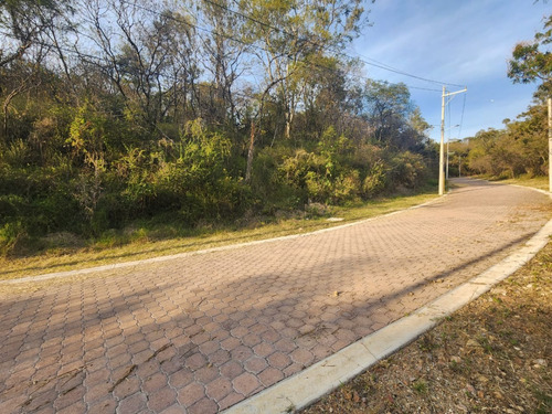 Venta Lote Gladiola 42 Con Vistas Panorámicas Y Todos Los Servicios Y Proyecto Incluído. A Unos Pasos De Las Amenidades En Nueva Zona De Fracc Rancho San Diego Ixtapan De La Sal Edomex