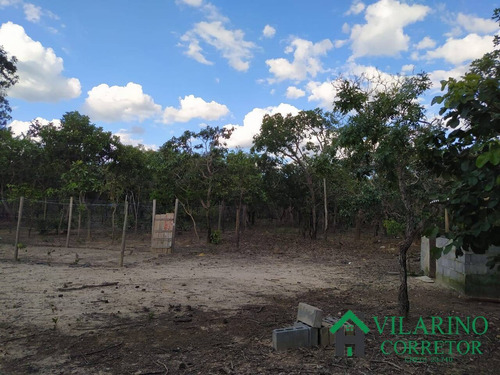 Imagem 10 de 15 de Fazendinha Em Três Marias - 3228