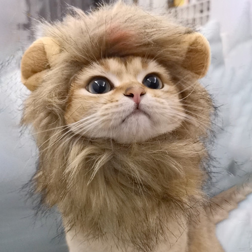 Lindo Tocado Para Mascotas Con Forma De León Y Gato