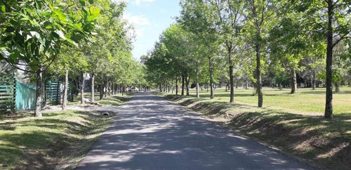 Imagen 2 de 3 de Lote En Venta En Miralagos