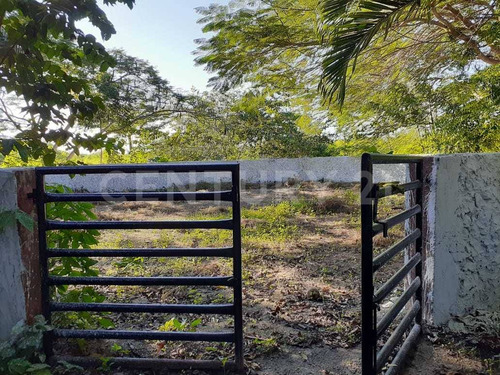 Rancho Tipo Hacienda De 36 Has En Telchac Pueblo Con Cenote. A 42 Kms De Mérida