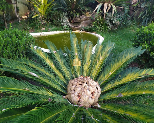 Imagem 16 de 30 de Sitio Em Boa Vista - Esmeraldas - St00068 - 34802218