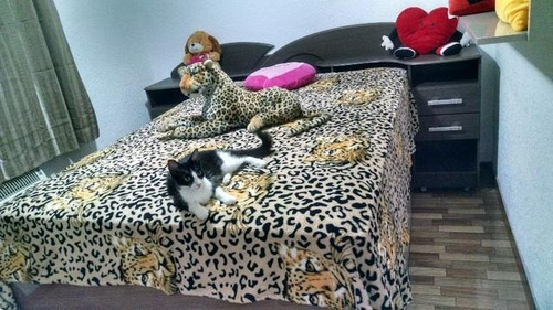 Imagem 6 de 15 de Apartamento - Realengo - Ref: 33076 - L-17772
