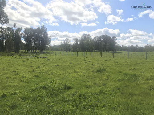 Agrícola En Venta En Puerto Varas , Nueva Braunau