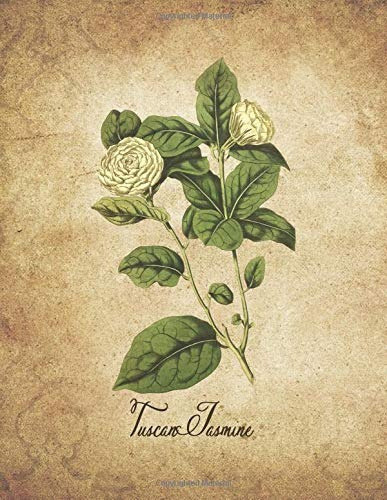 Tuscan Jasmine Vintage Floral Notebook With College Ruled Li