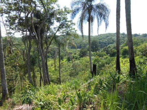 Imagem 26 de 30 de Chácara Com 1 Dormitório À Venda, 21000 M² Por R$ 1.500.000,00 - Parque Rodrigo Barreto - Arujá/sp - Ch0012