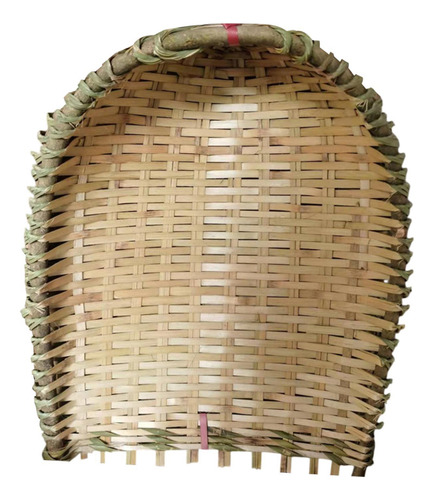 Bambúa De Bambú El Polvo De Basura De La Basura Sin Mango