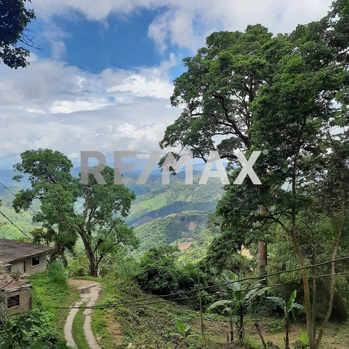 Imagen 2 de 6 de En Venta Terreno Ubicado En San Diego De Los Altos