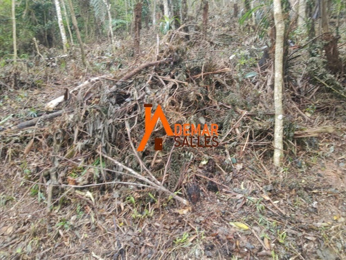 Imagem 4 de 29 de Chácara Em Juquitiba - Ch00111 - 70114757