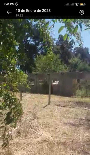 Imagen 14 de 19 de Terreno 107x81 Metros Virreydel Pino