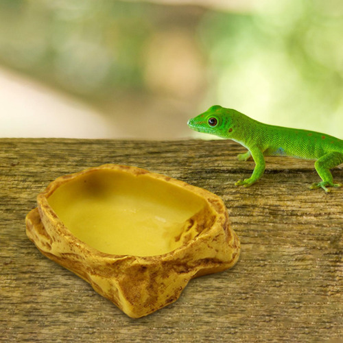 Tazón De Agua Para Reptiles, Tazón De Agua Para 12x9x3cm
