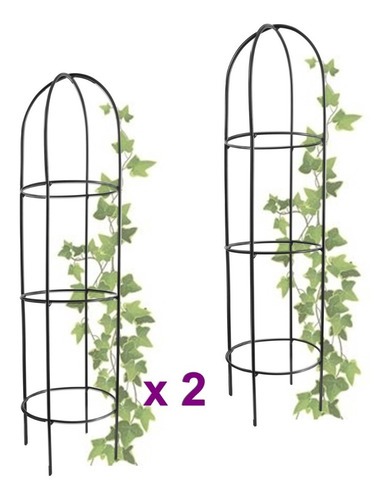 Imagen 1 de 9 de Tutor Para Plantas Huertas Jardín Trepadoras Hierro Pack X 2