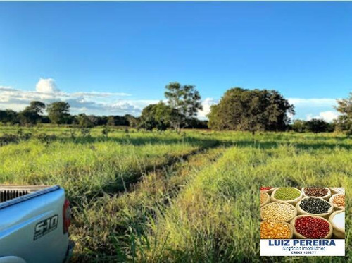 Imagem 5 de 15 de Fazenda A Venda No Formoso Do Araguaia-to-de 240 Alqueirões (dupla Aptidão) - 1669