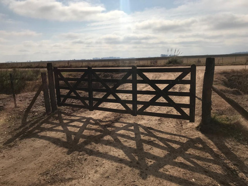Venta 550 Hectareas Cañuelas Campo Mixto Ideal Ganadero U$s 6500 X Has.